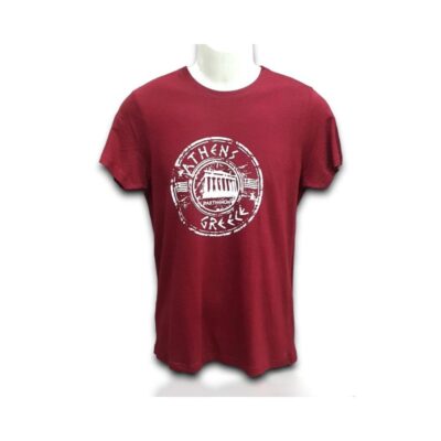 unisex-tshirt-acropolis-3